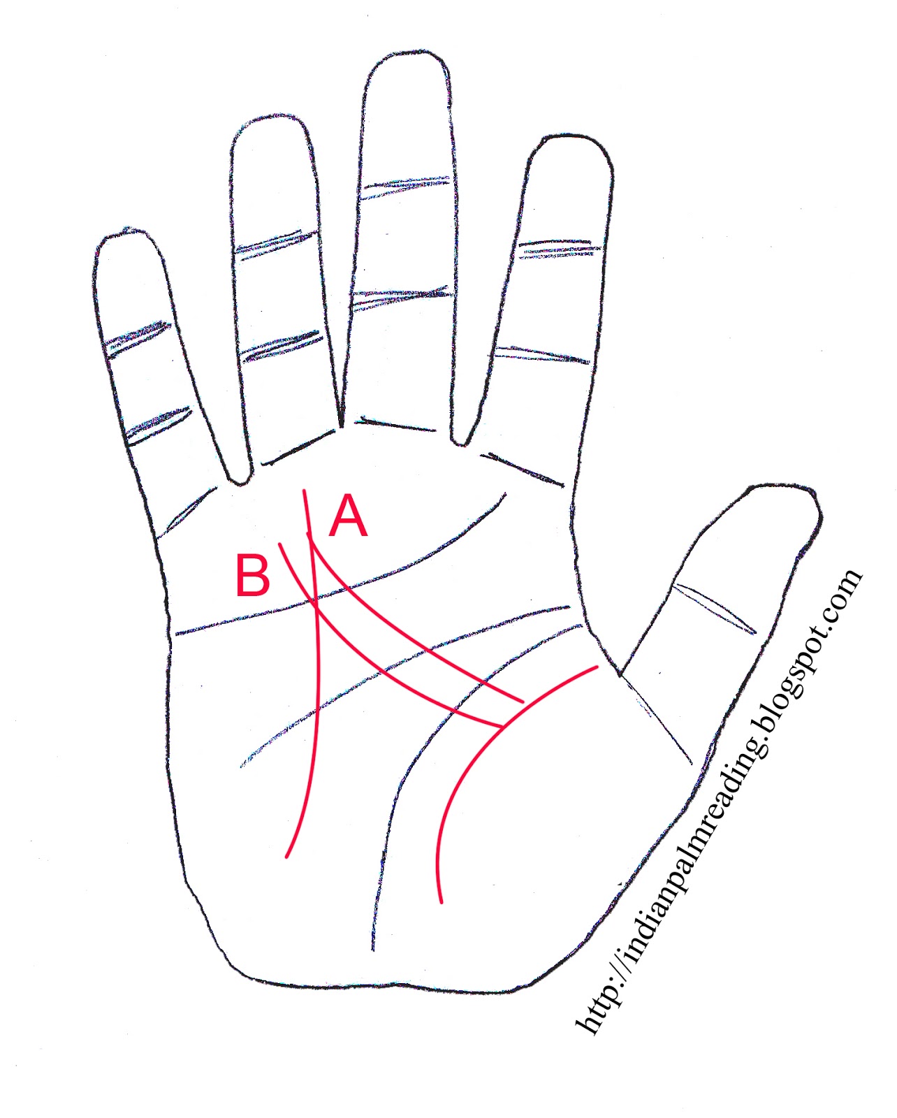 Learn Importance Of Mars Line With Pictures In Palmistry | INDIAN ...
